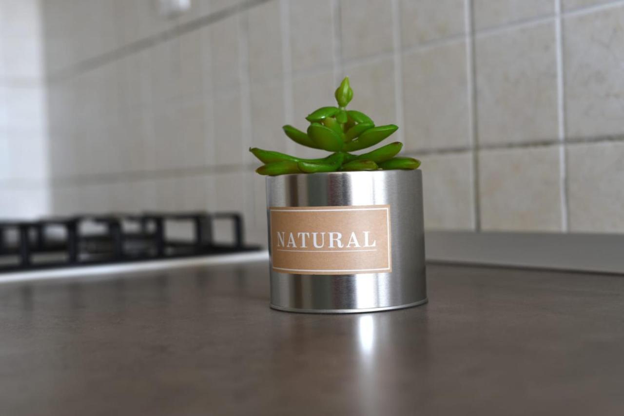 Apartman Vinika ซาดาร์ ภายนอก รูปภาพ